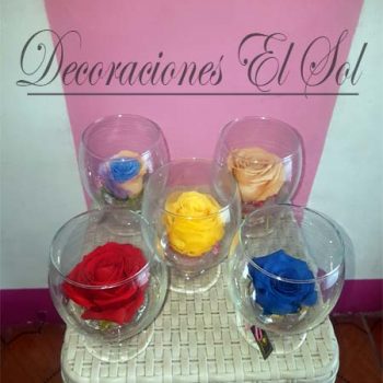 Variedad de Flores Preservadas